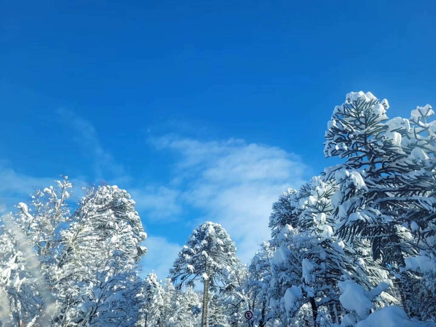 Southern Hemisphere Weekly Snow Roundup #327