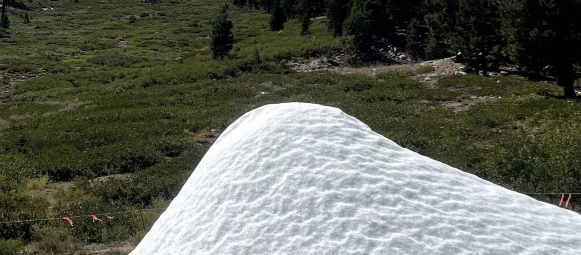 Summer Snow in Nevada