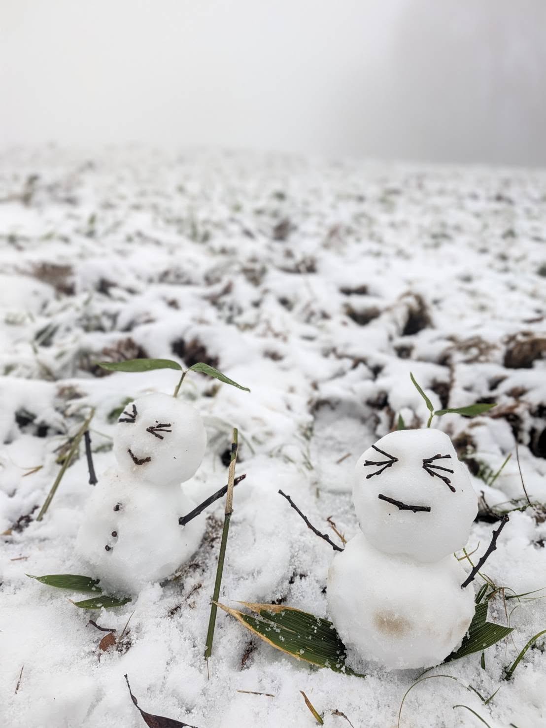 Global Weekly Snow Roundup #338