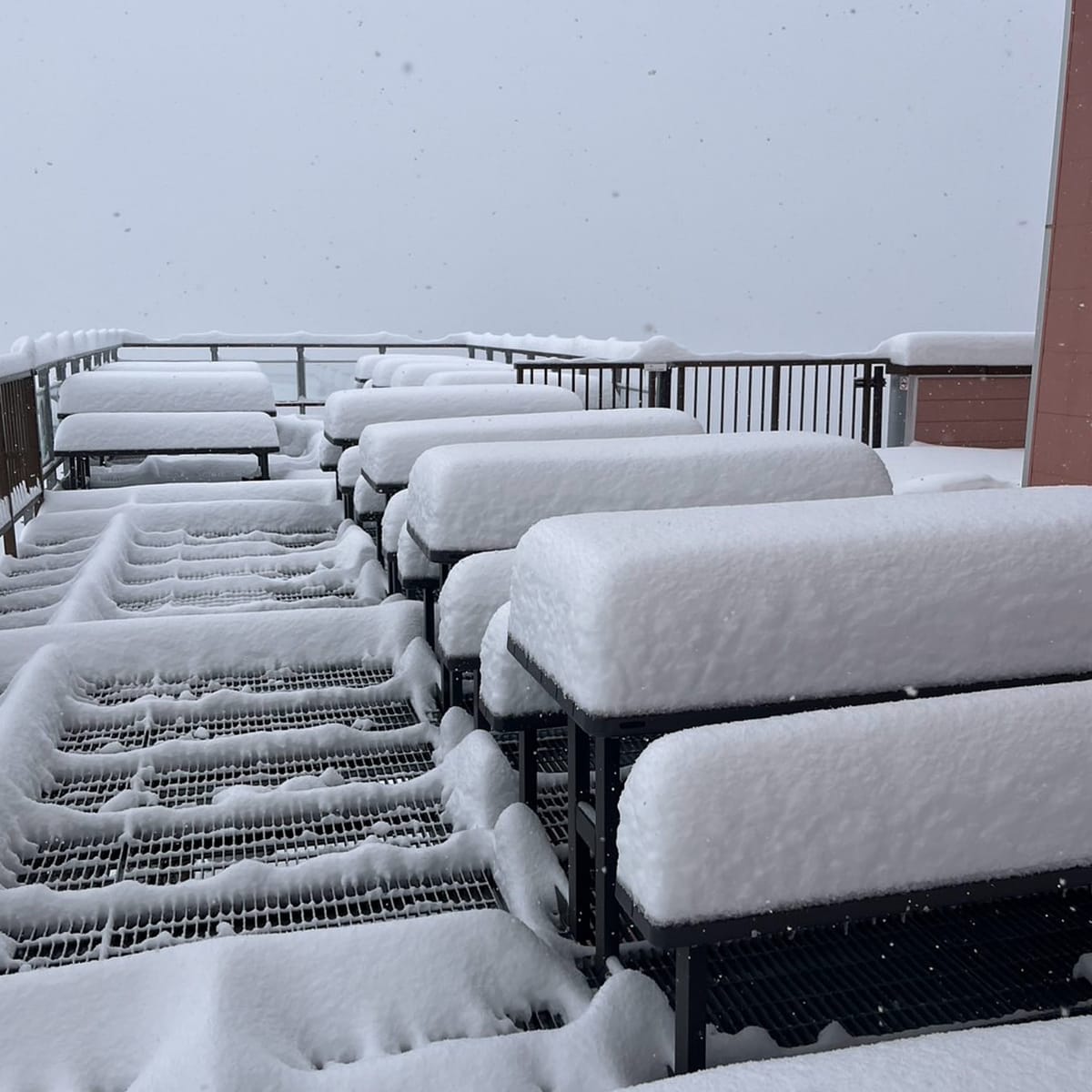 Japan Weekly Snow Roundup #290 – Early‑Season Honshu Snow