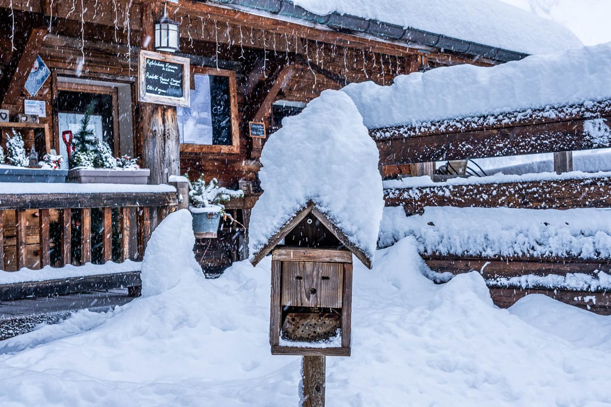 Europe Weekly Snow Roundup #291