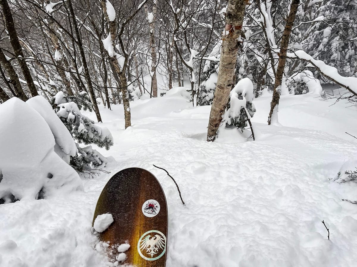 N. America & Canada Christmas Snow Roundup #294