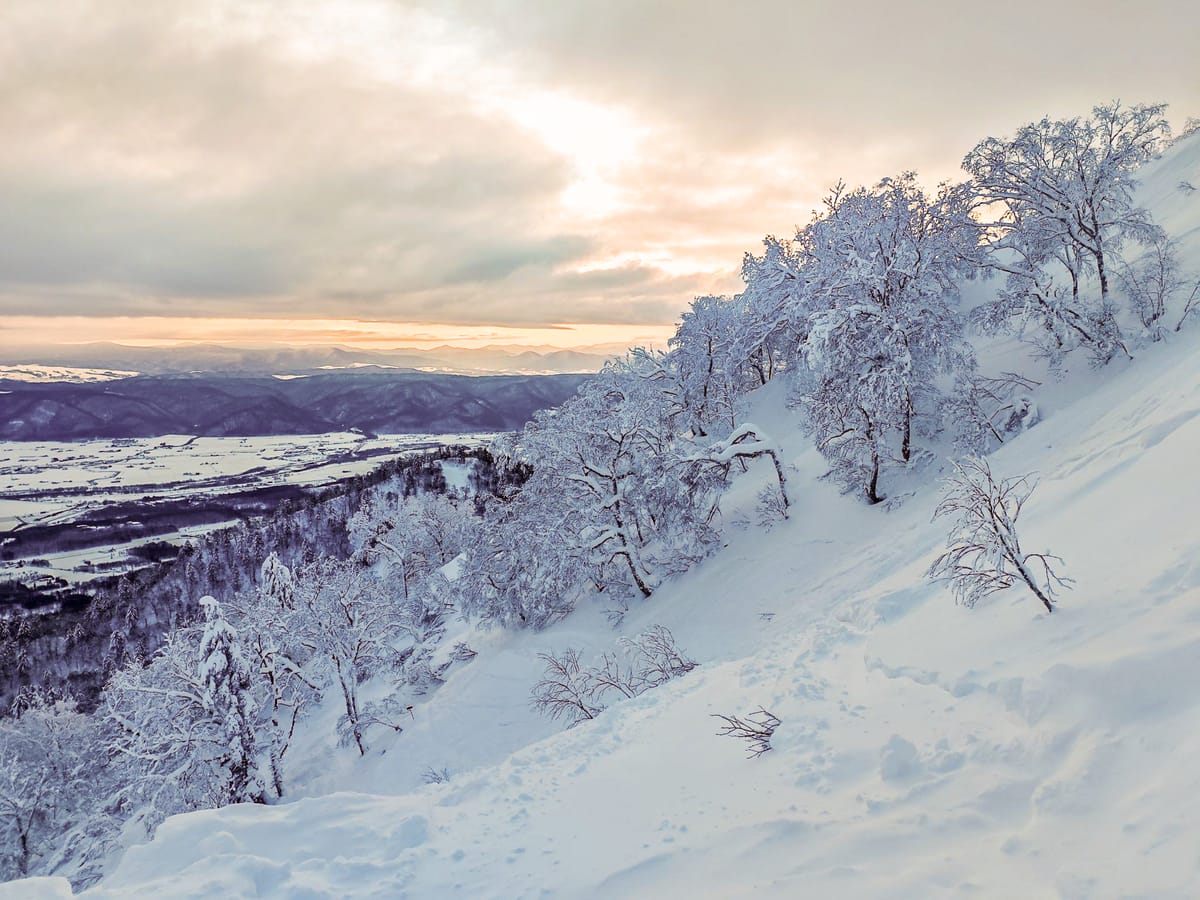 Japan Weekly Snow Roundup #296