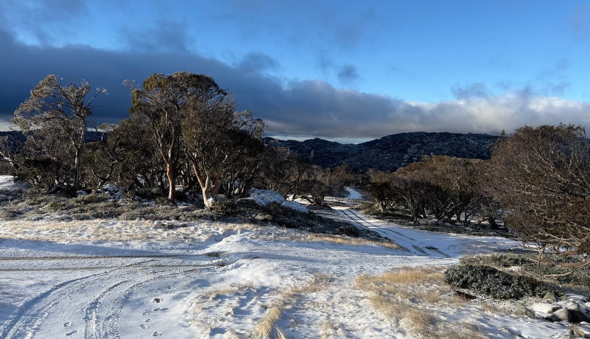 Global Weekly Snow Roundup #313
