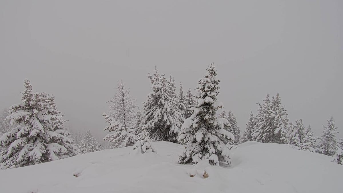 North America Weekly Snow Roundup #318