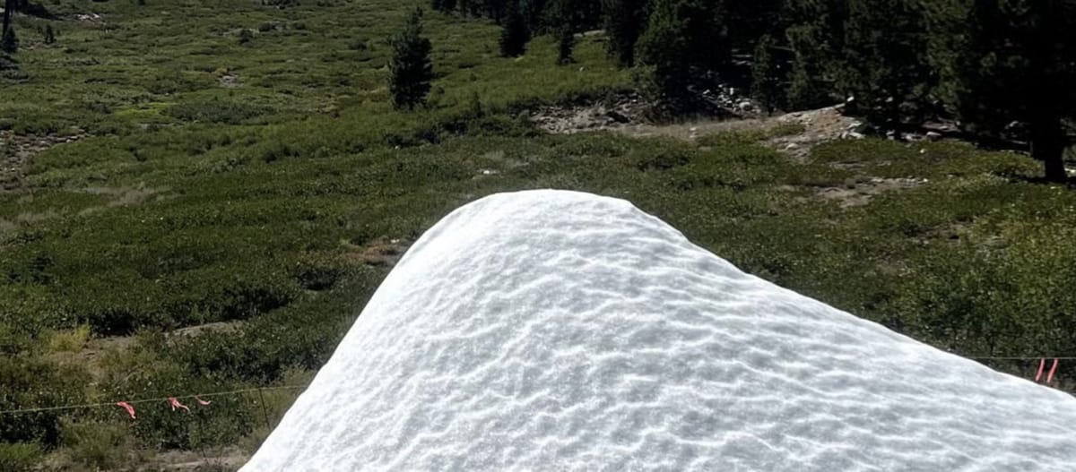 Summer Snow in Nevada