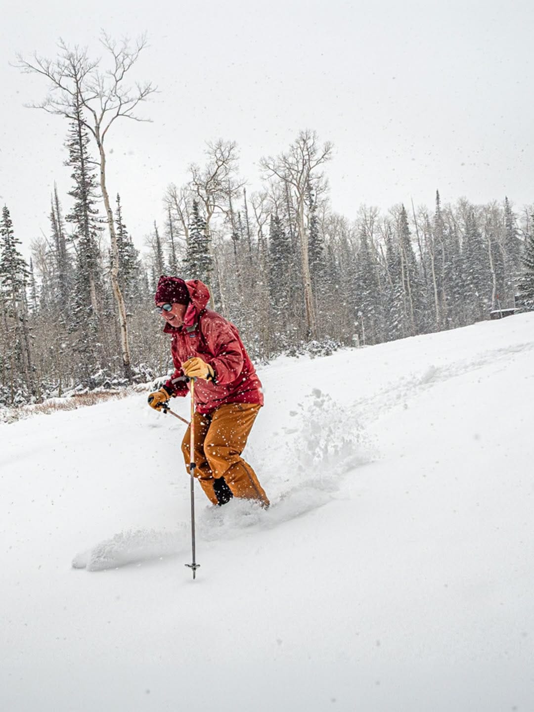 Northern Hemisphere Weekly Snow Roundup #337