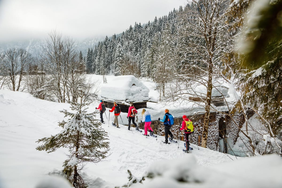 Back to the roots in Ruhpolding: Finding your inner balance in the winter woods