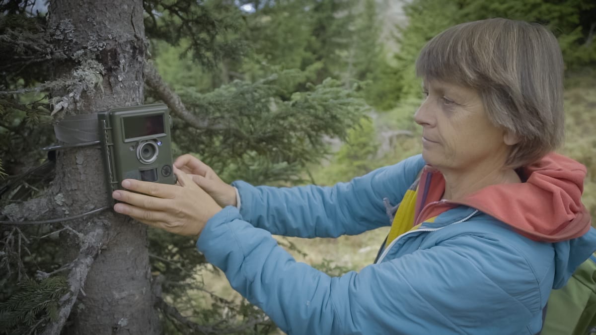 Initiative to Measure Climate Change in the Alps wins UN Award