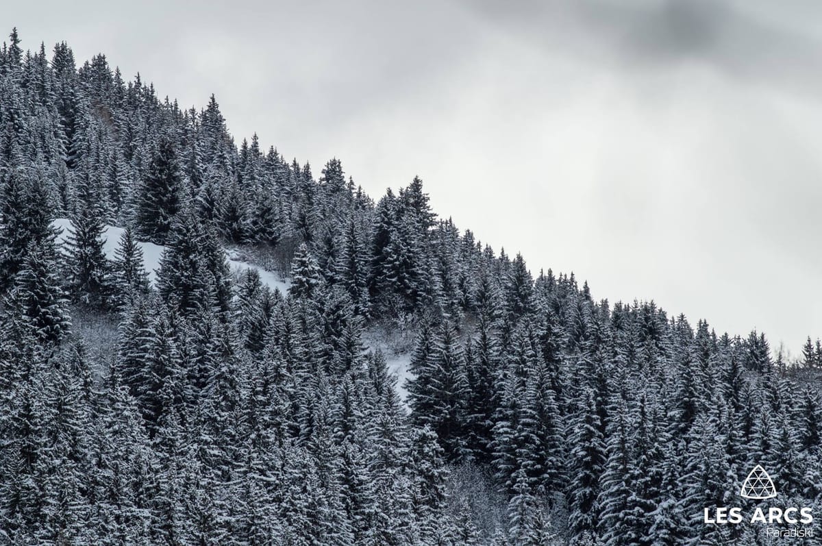 Snowfall Returns to The Alps