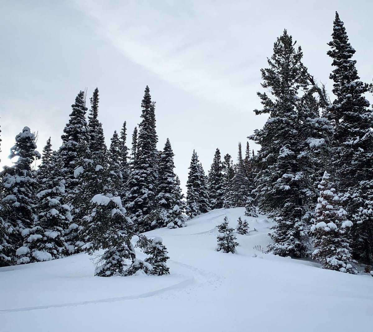 Naked Ski-Touring For Women Only in Colorado