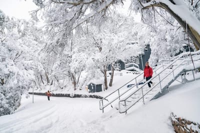 Australian Snowstorm Total Passes 50cm As 2025 Season Begins
