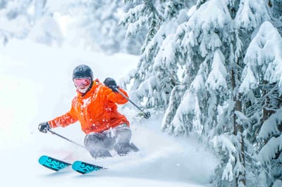 Forest Health = Great Tree Skiing in Arizona