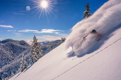 Glading Terrain Provides Firewood For Native American Tribes at Sun Valley