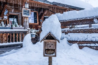 Europe Weekly Snow Roundup #291