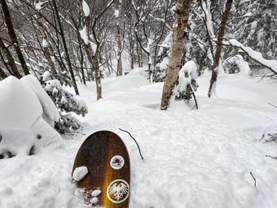 N. America & Canada Christmas Snow Roundup #294