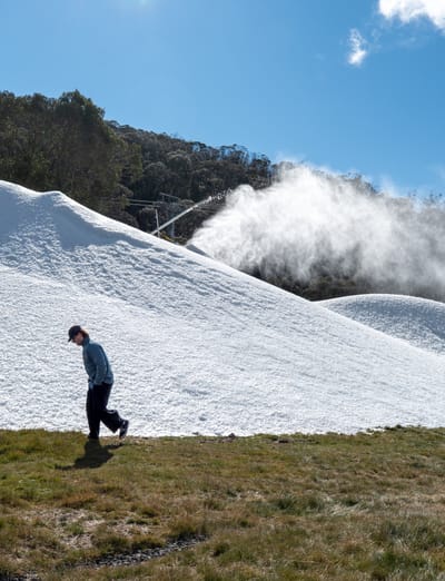 Southern Hemisphere Snow Roundup #315