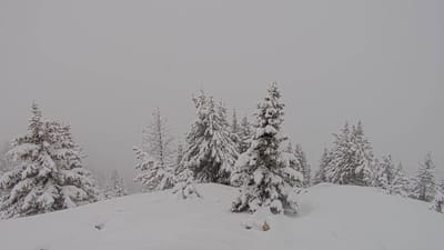 North America Weekly Snow Roundup #318