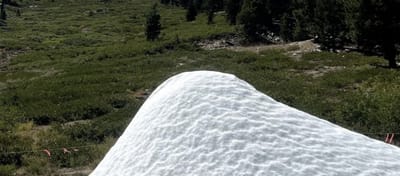 Summer Snow in Nevada