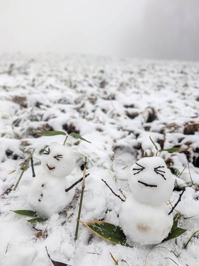 Global Weekly Snow Roundup #338