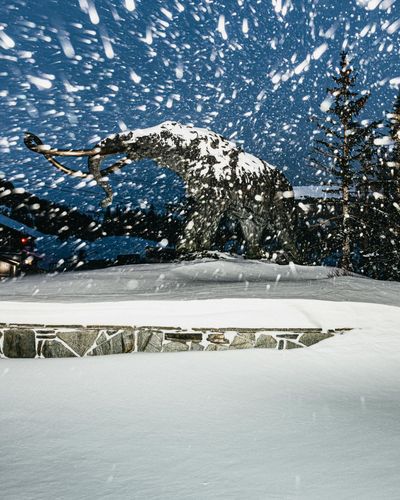 California Ski Season Gets Late Twist as Mammoth Extends Season After Heavy Snowfall