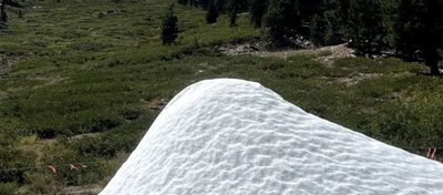 Summer Snow in Nevada