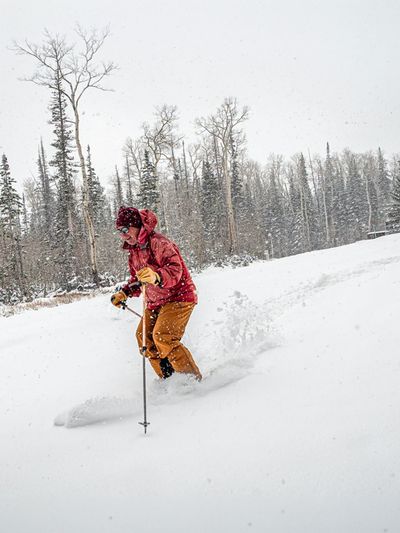 Northern Hemisphere Weekly Snow Roundup #337