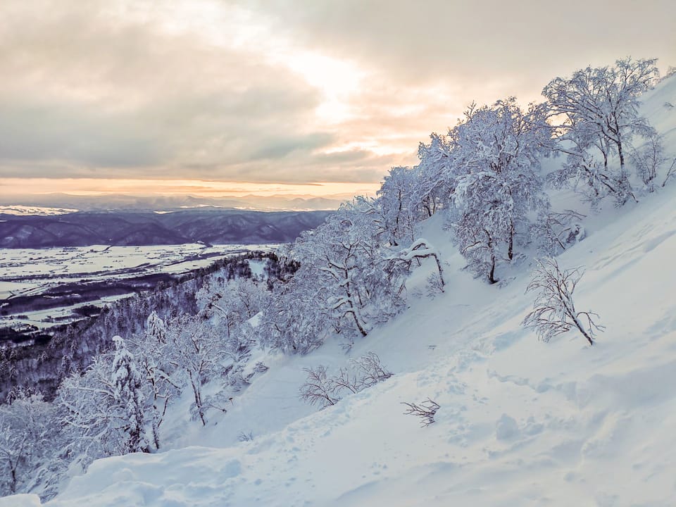 Japan Weekly Snow Roundup #296