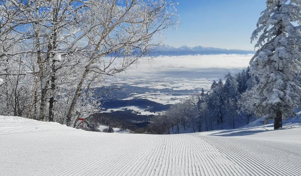 Japan Weekly Snow Roundup #305