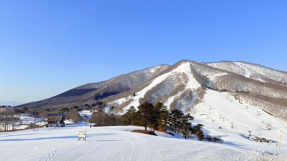 Japan Weekly Snow Roundup #307