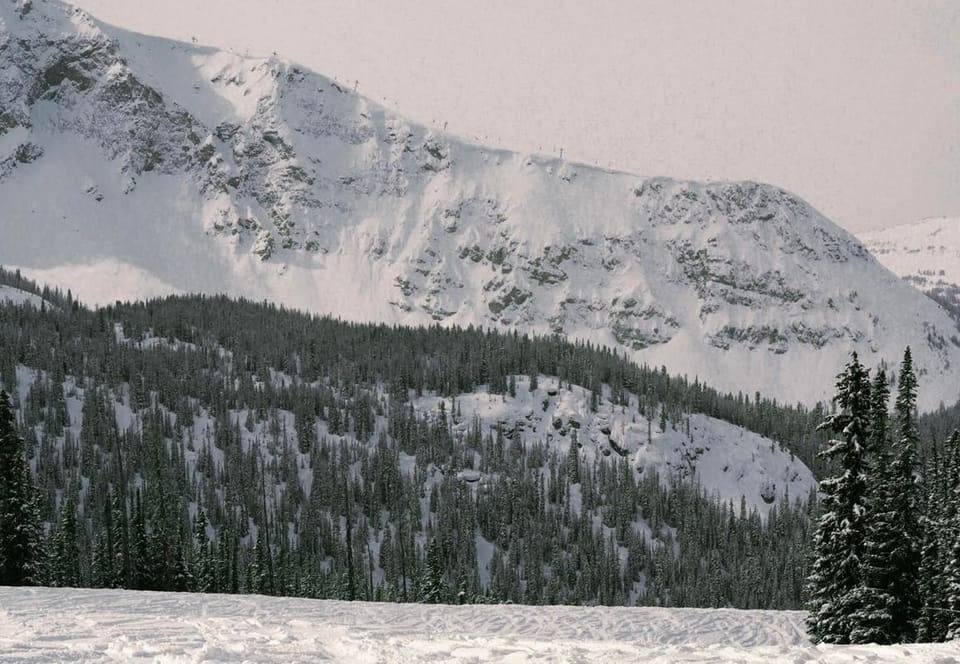 North America Weekly Snow Roundup #311