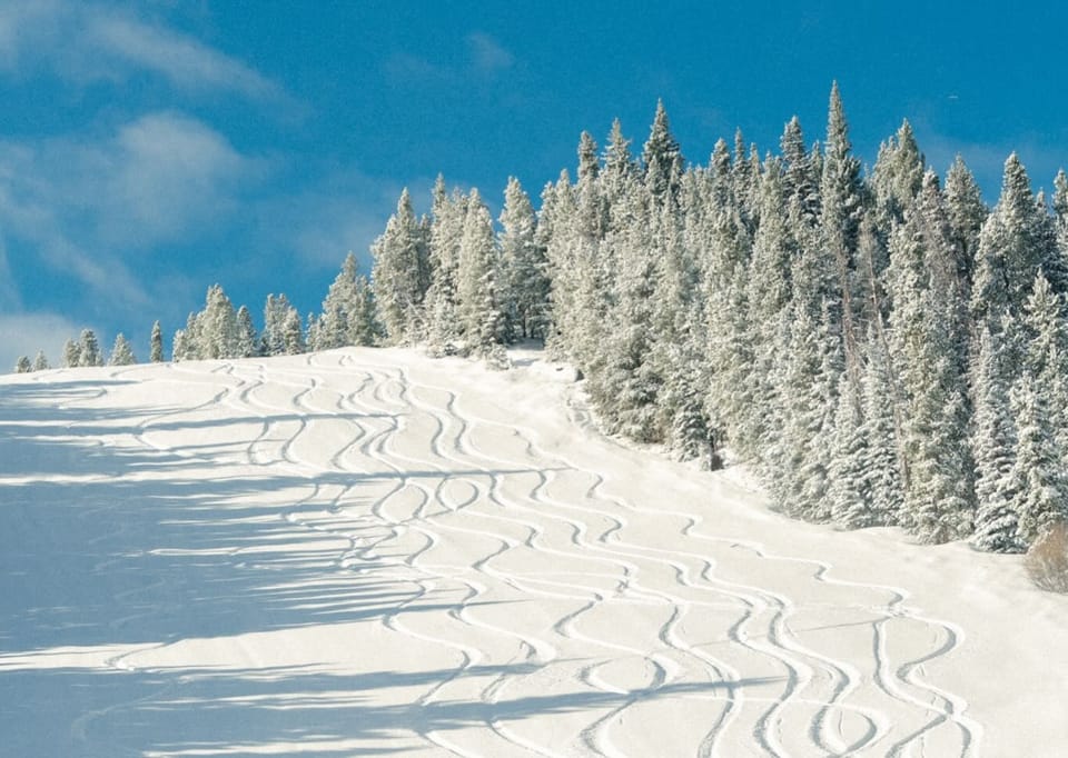 North America Weekly Snow Roundup #309