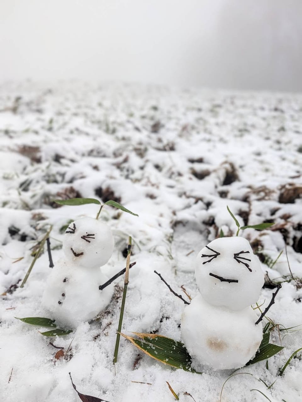 Global Weekly Snow Roundup #338