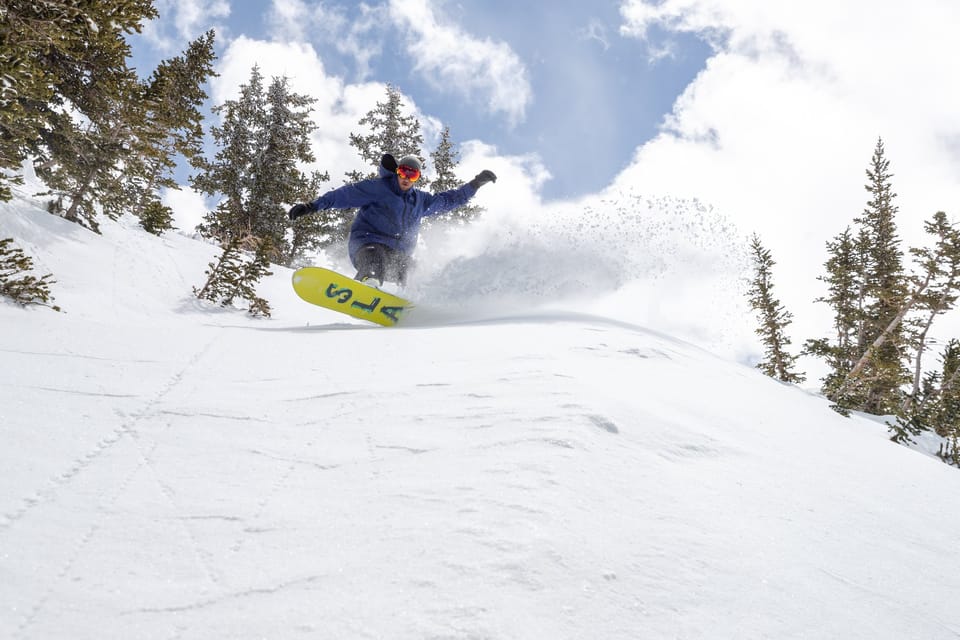 Fresh May Powder in the USA