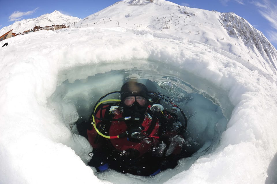 INTO THE FREEZER