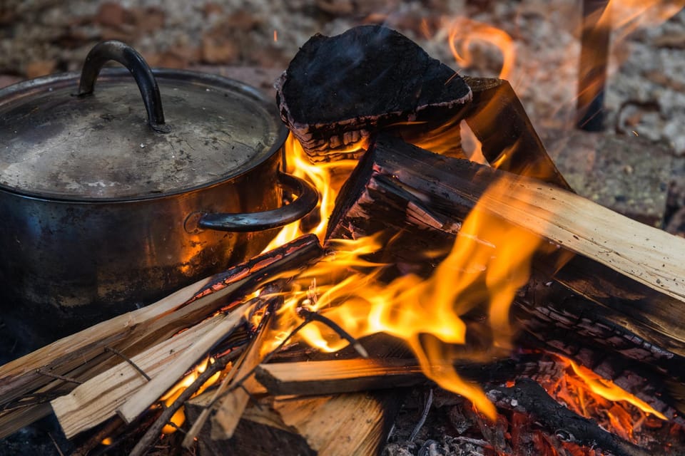 Survival tips for your adventure in the Bavarian winter woods