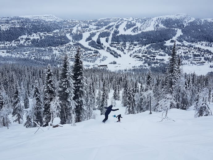 Norwegian Ski Area To Open “Freeride Forest” This Winter After US Study Trip