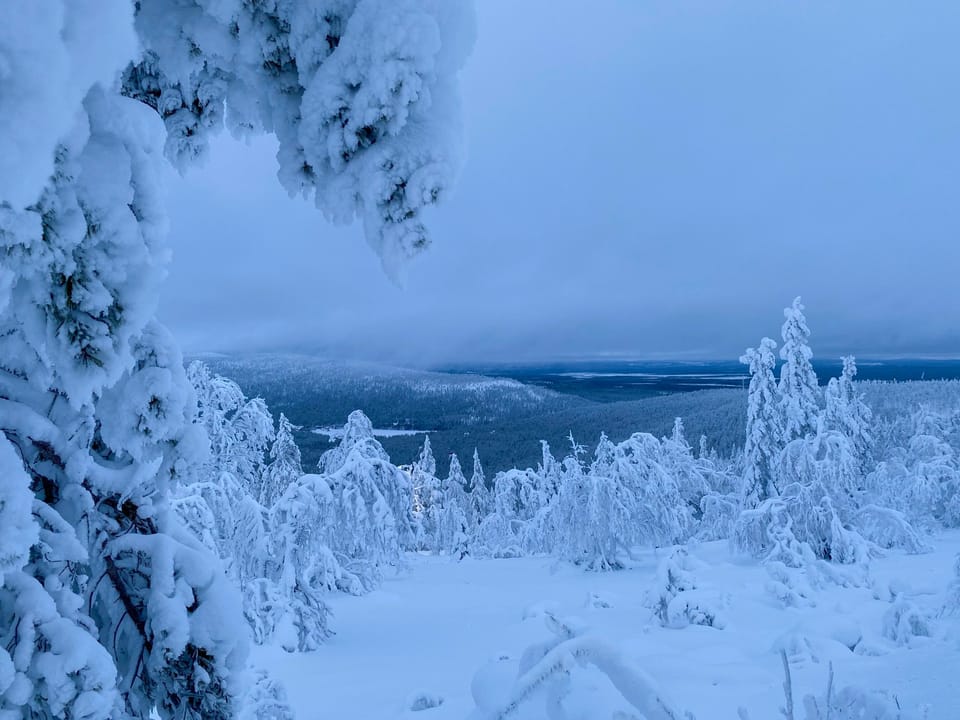21 Days of Non-Stop Polar Night Underway For Skiers in Lapland