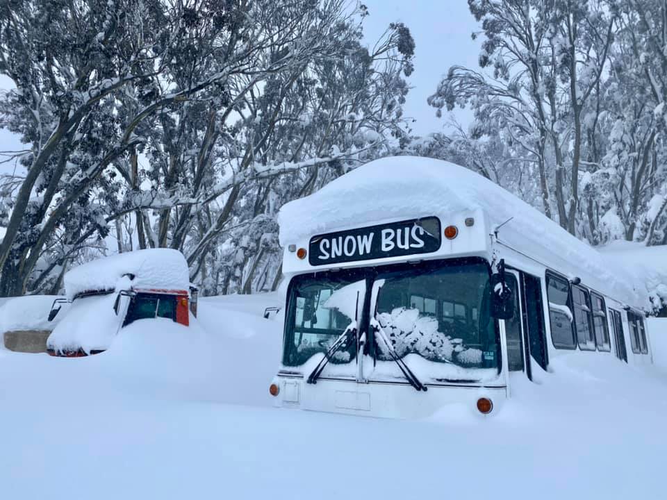 Snowstorm Totals Mount At Locked-Down Aussie Ski Areas
