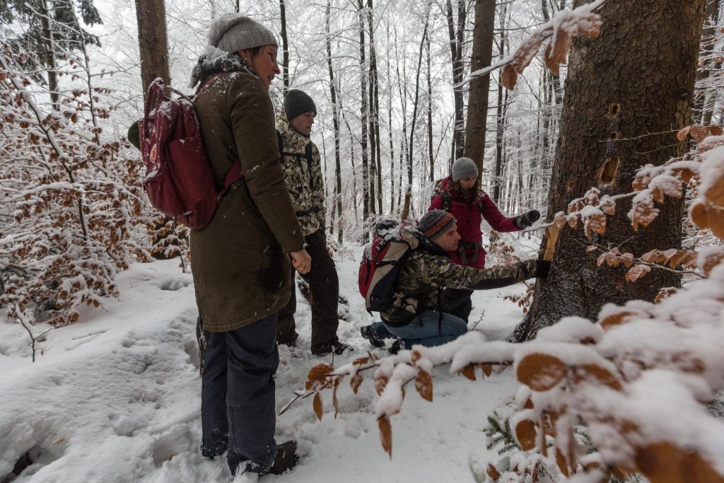 Group in bavaria forest