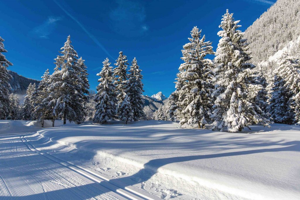 Ruhpolding snow