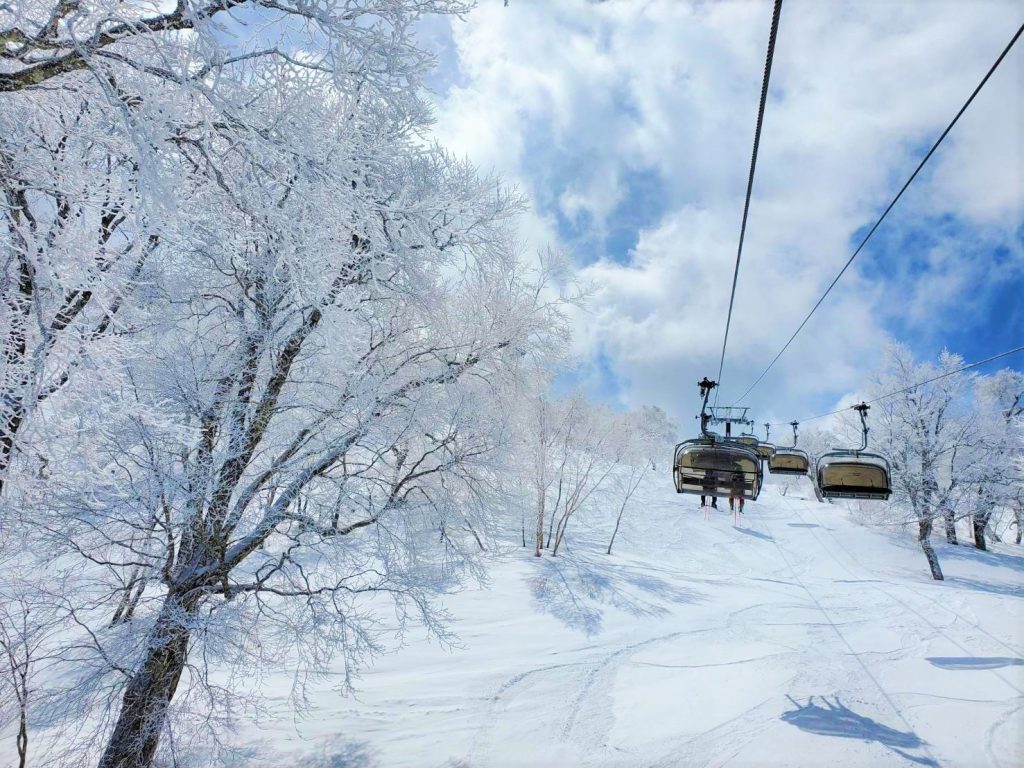 Nozawa Onsen resort this week