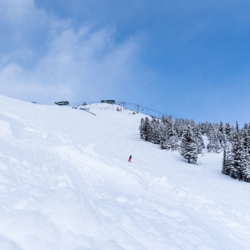 Marmot Basin